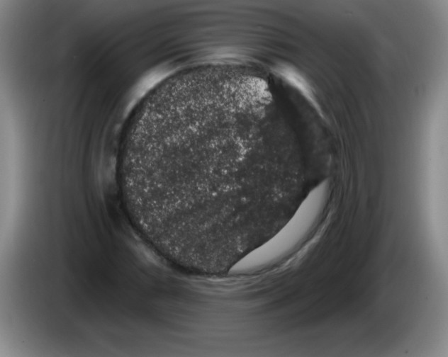 X0000083571066200703091633