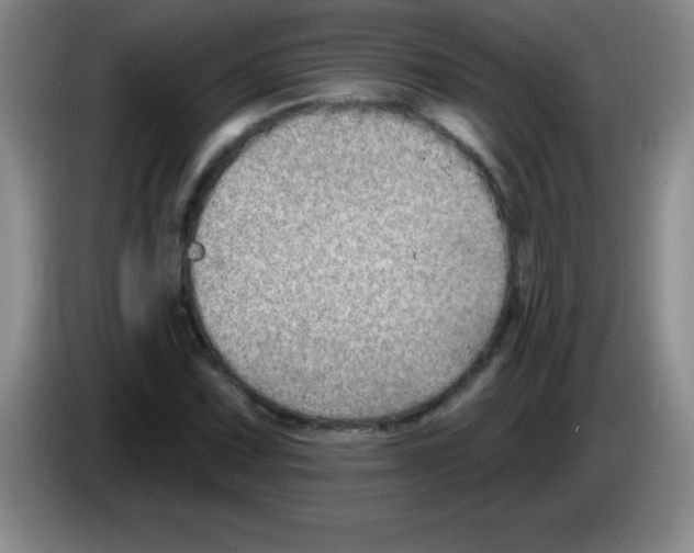 X0000083571067200703091633