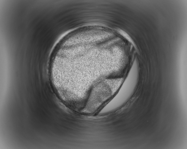 X0000083571068200703091633