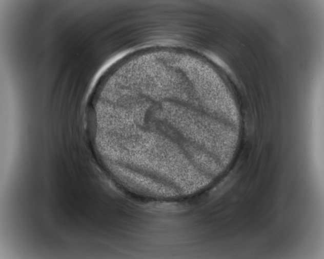 X0000083571070200703091633