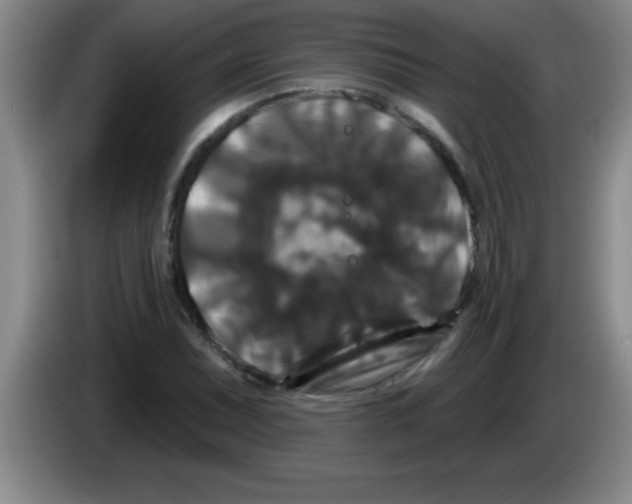 X0000083571071200703091633