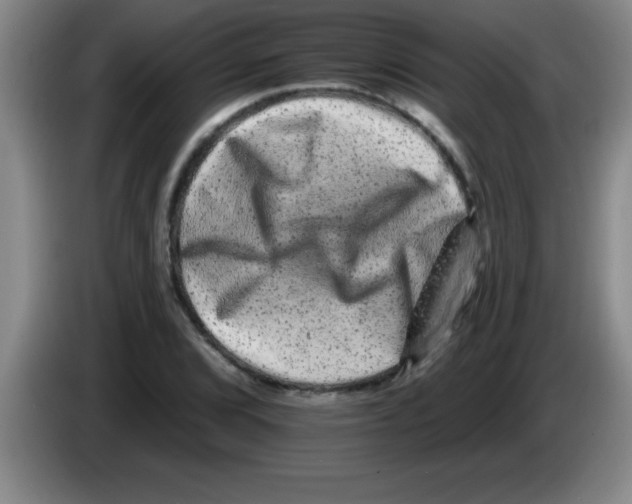 X0000083571072200703091632