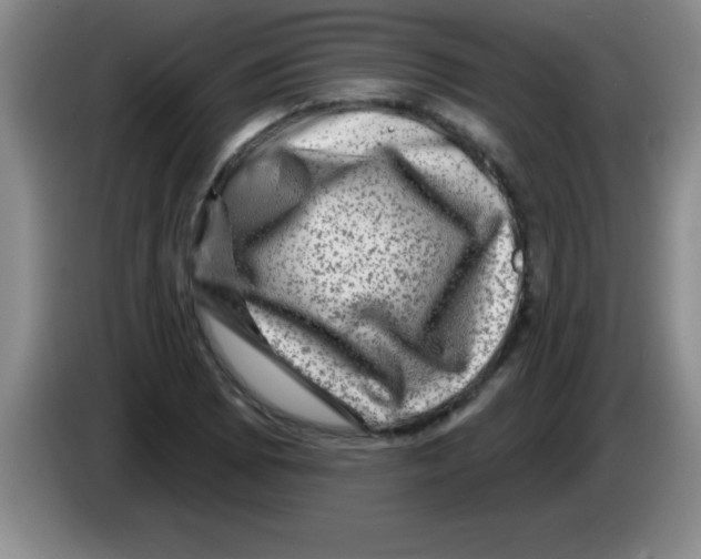 X0000083571073200703091632