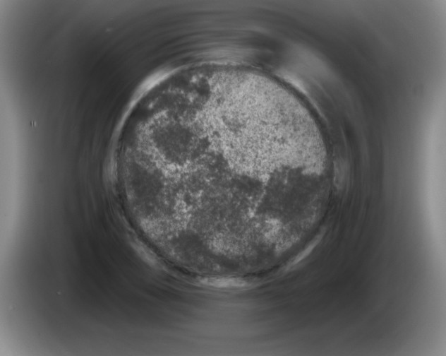X0000083571074200703091632