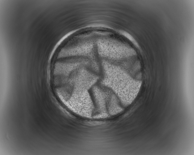 X0000083571076200703091632