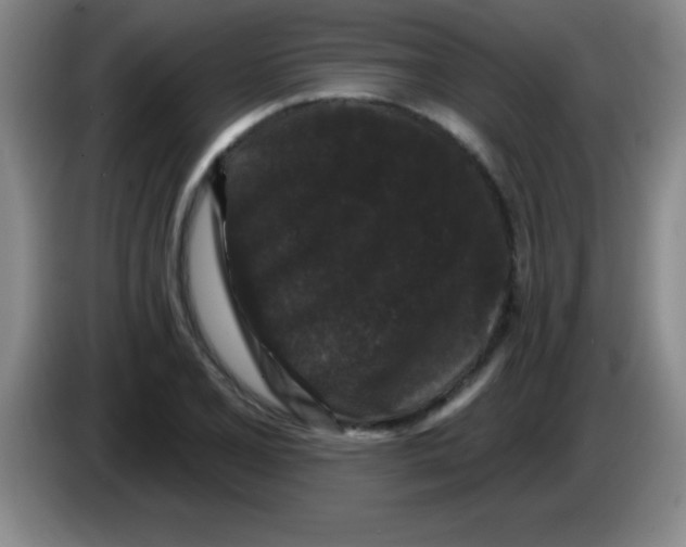 X0000083571077200703091632