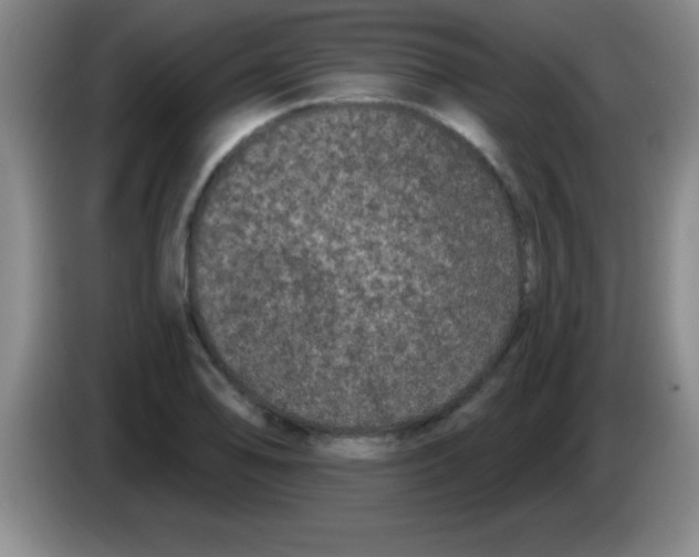 X0000083571078200703091632