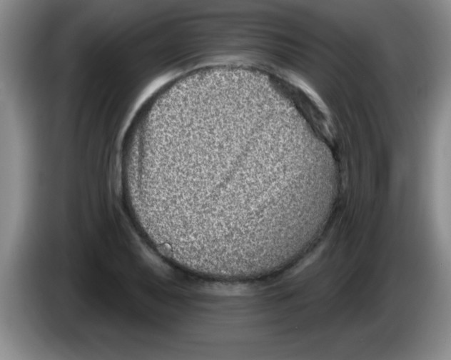 X0000083571079200703091632