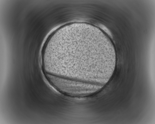X0000083571080200703091632