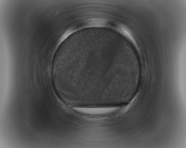 X0000083571081200703091632