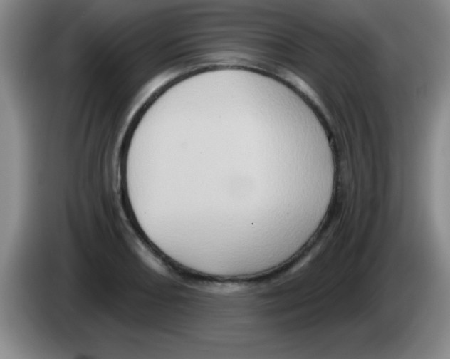 X0000083571082200703091632
