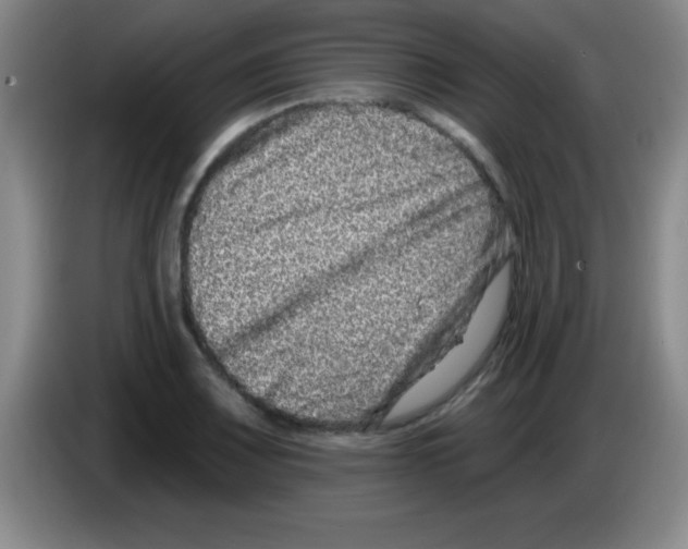 X0000083571083200703091632