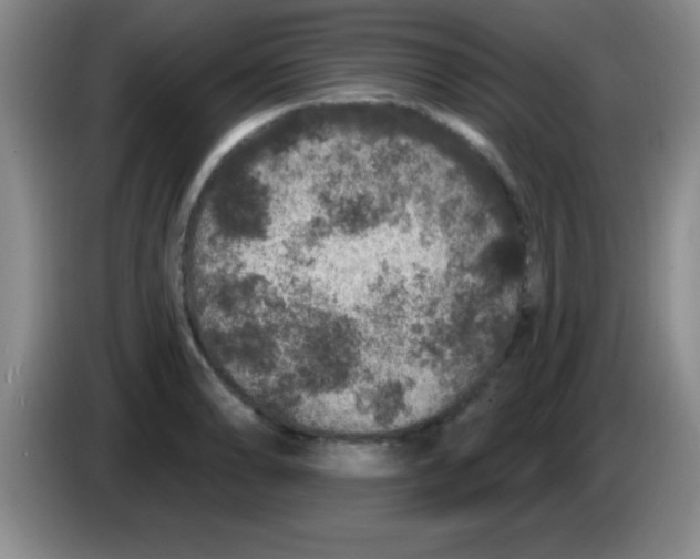 X0000083571086200703091632