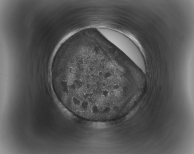 X0000083571088200703091632