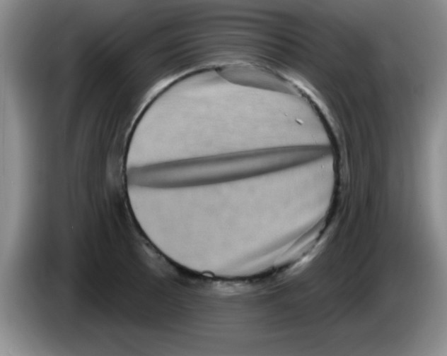 X0000083571089200703091632