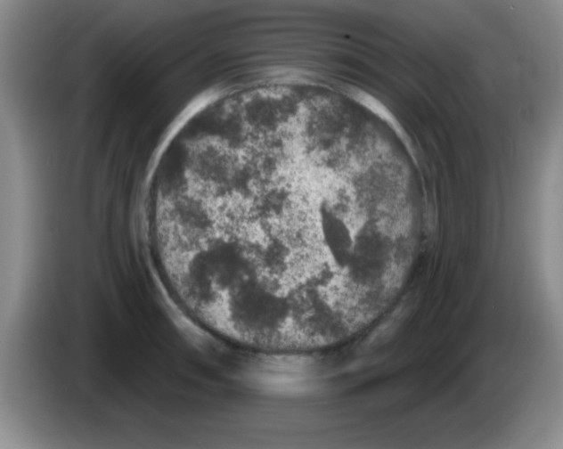 X0000083571090200703091632