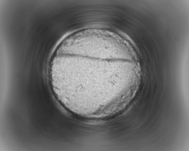 X0000083571091200703091632