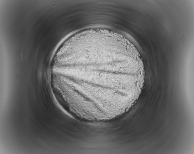 X0000083571092200703091632