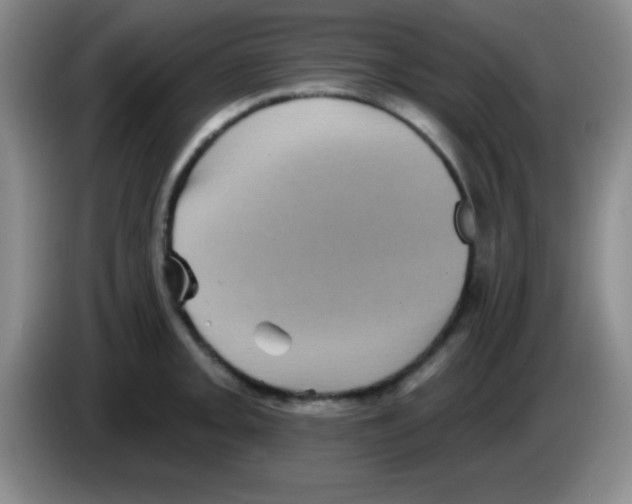 X0000083571093200703091632