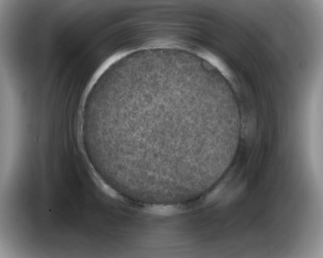 X0000083571094200703091632