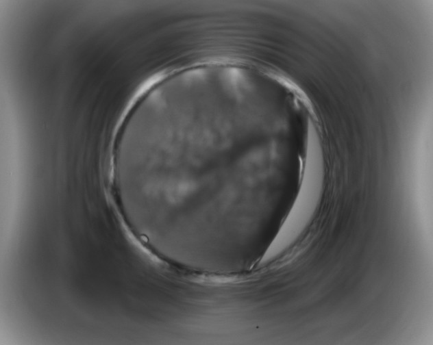 X0000083571095200703091632