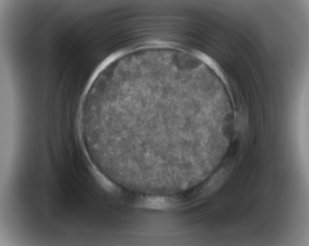 X0000083571098200703091632
