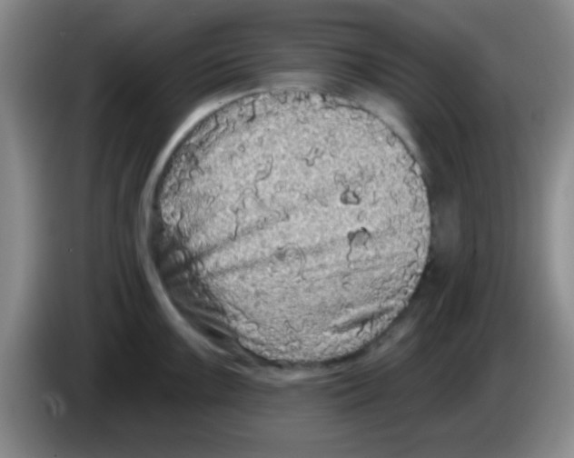 X0000083571099200703091632