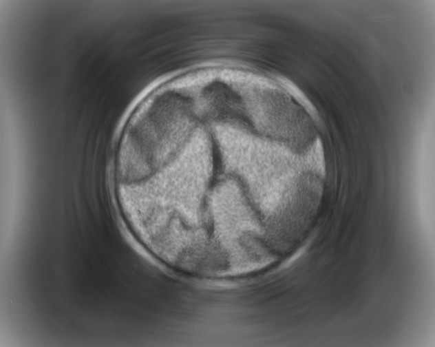 X0000083571100200703091632