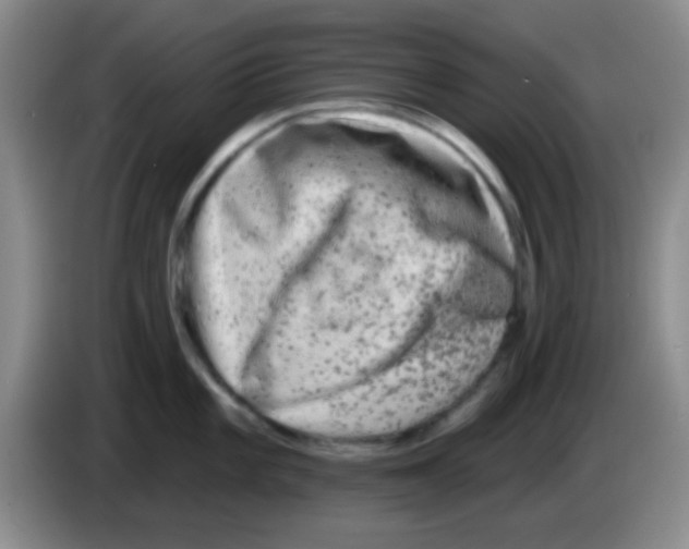 X0000083571101200703091632