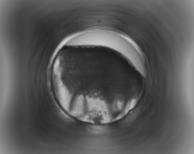 X0000083571102200703091632