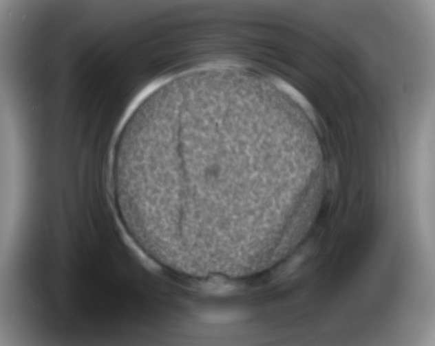 X0000083571103200703091632
