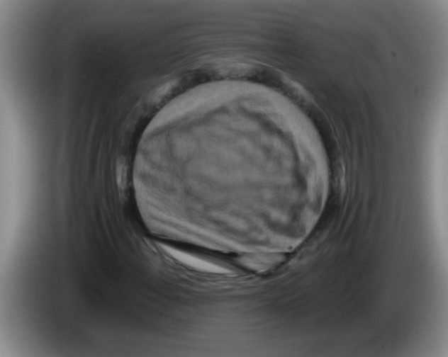 X0000083571108200703091631