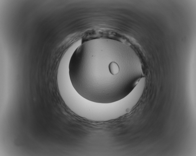 X0000083571110200703091631
