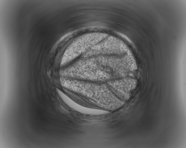 X0000083571112200703091631