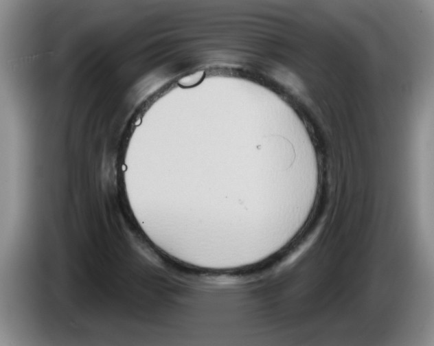 X0000083571113200703091632