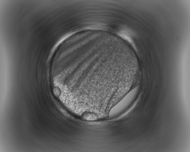 X0000083571114200703091632