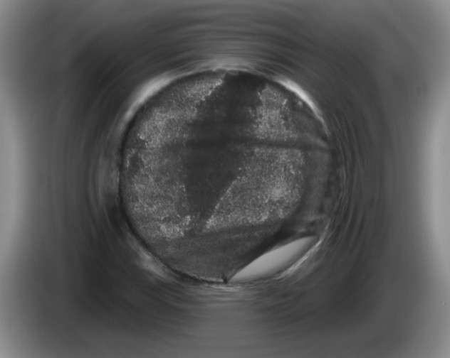 X0000083571115200703091632