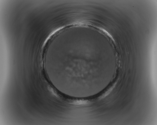 X0000083571117200703091632