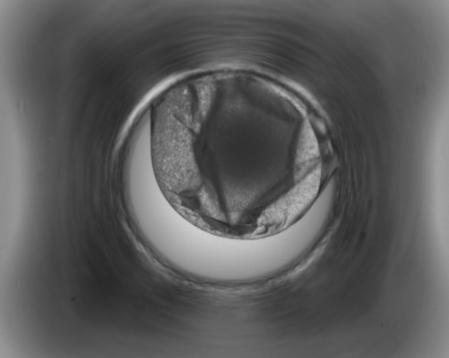 X0000083571118200703091632