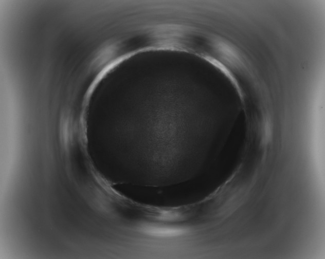 X0000083571120200703091632