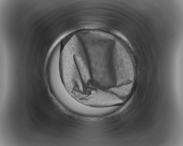 X0000083571122200703091632