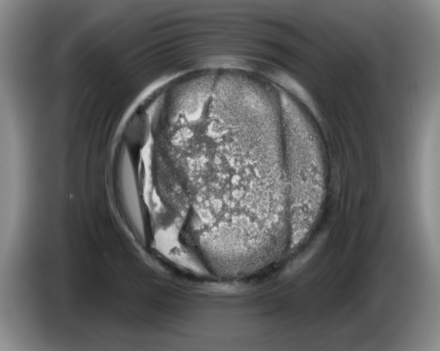 X0000083571125200703091632