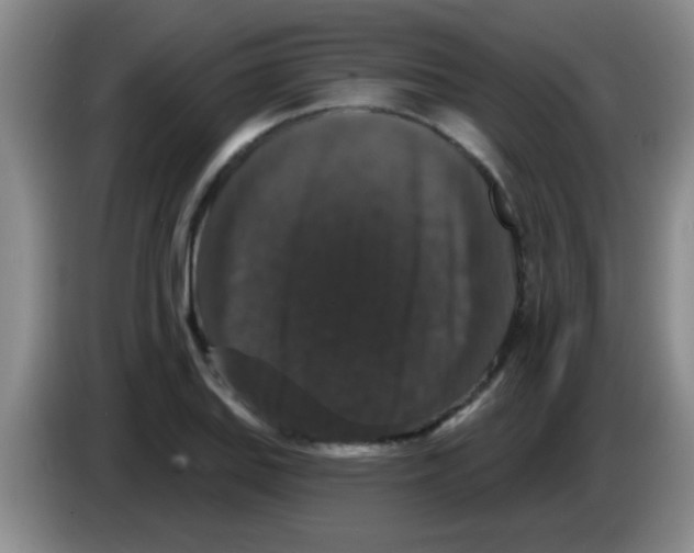 X0000083571127200703091632