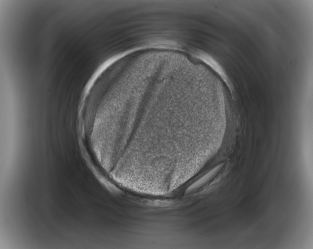 X0000083571128200703091632