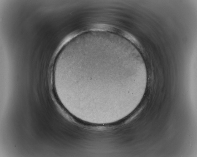 X0000083571130200703091632