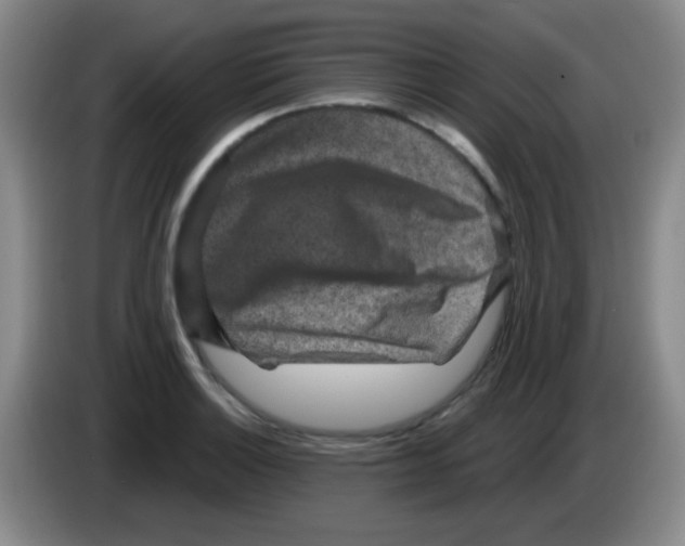 X0000083571132200703091632