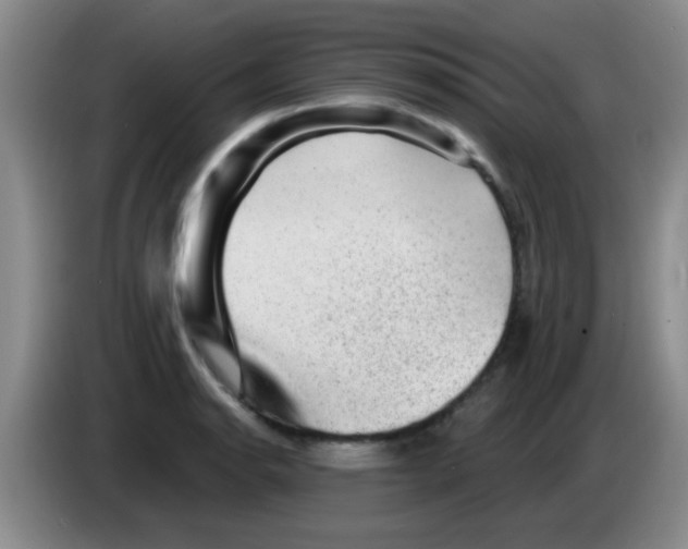 X0000083571134200703091632
