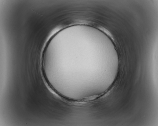 X0000083571135200703091632
