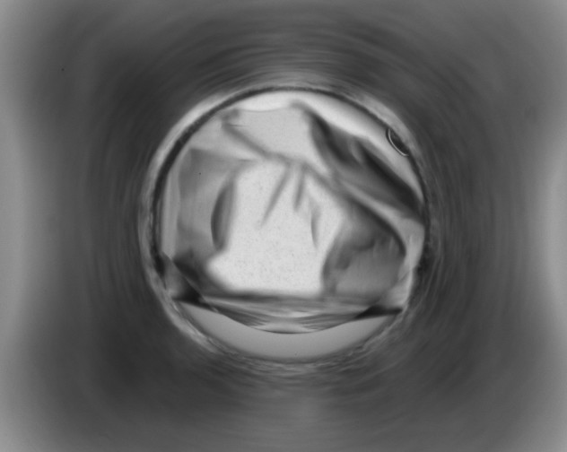 X0000083571136200703091632