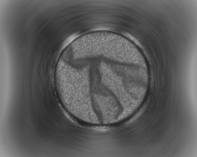 X0000083571137200703091632